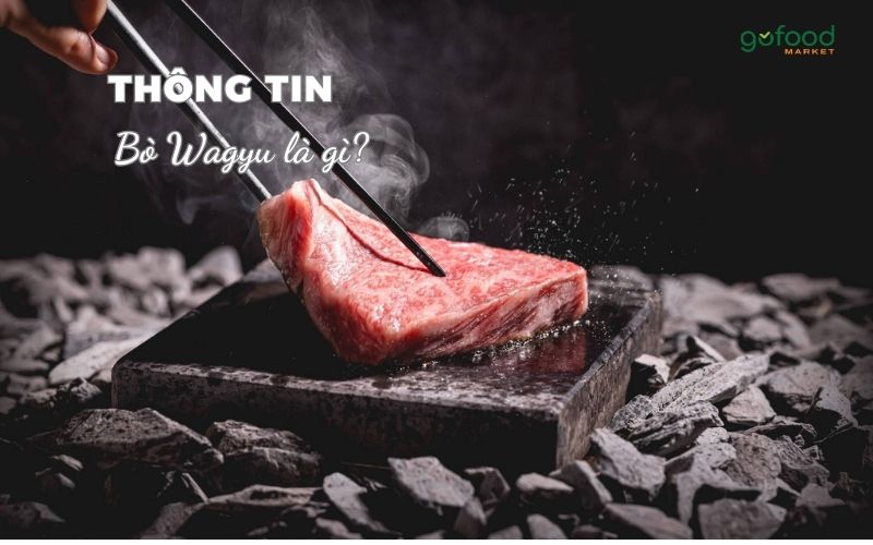 bò wagyu là gì