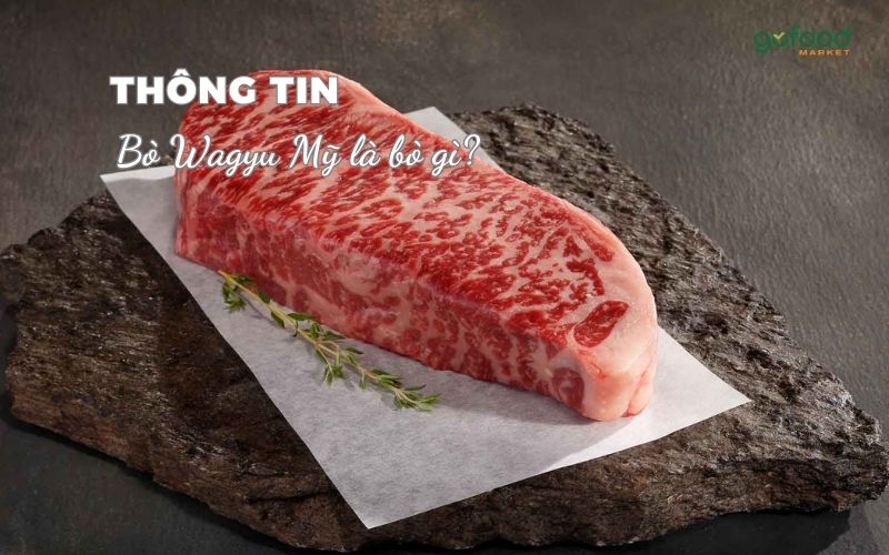 bò wagyu mỹ là gì