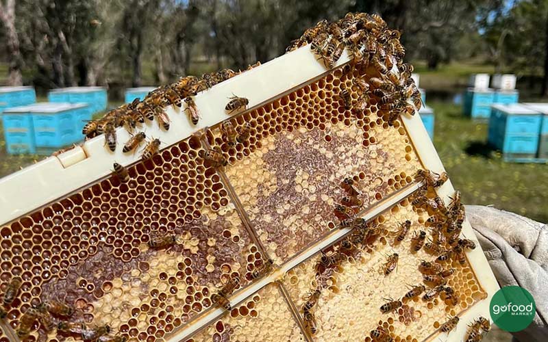 Honey in the Garden đề cao giá trị bền vững
