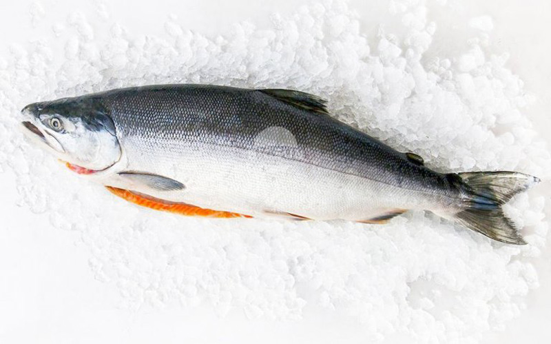 Cá hồi Na Uy tại Cá hồi giá sỉ khoảng 5-7 kg