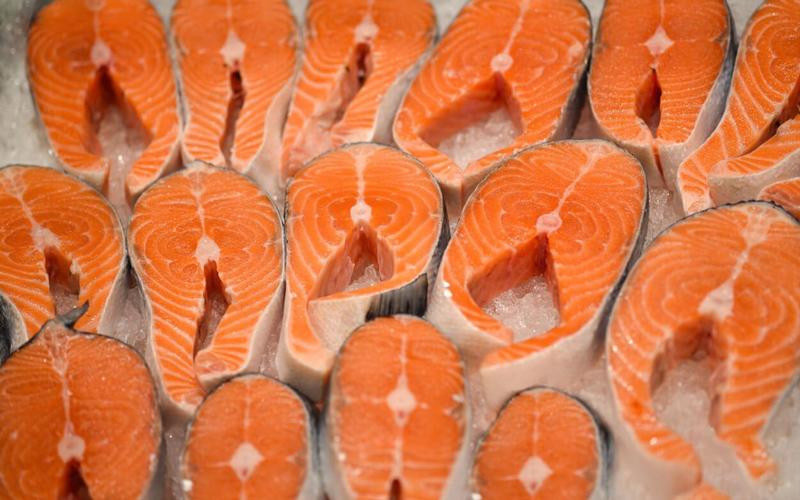 Gofood Market phân phối cá hồi Coho Chile