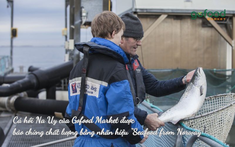 Cá hồi Na Uy của Gofood Market được bảo chứng chất lượng bằng nhãn hiệu “Seafood from Norway"