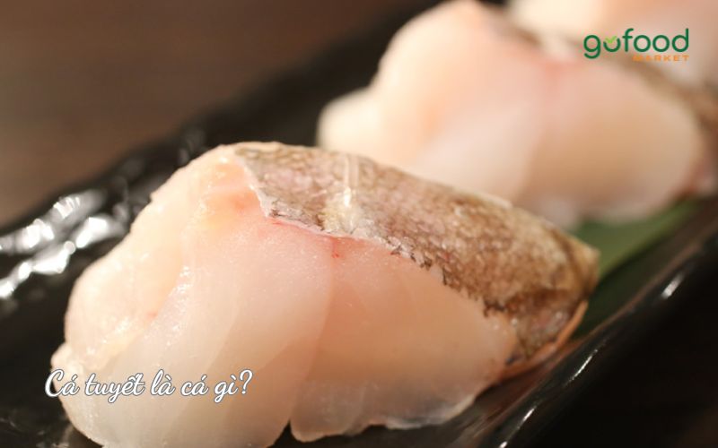 Cá tuyết là cá gì?