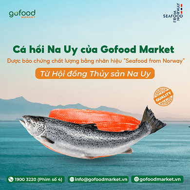 Gofood Market sỉ cá hồi Nauy