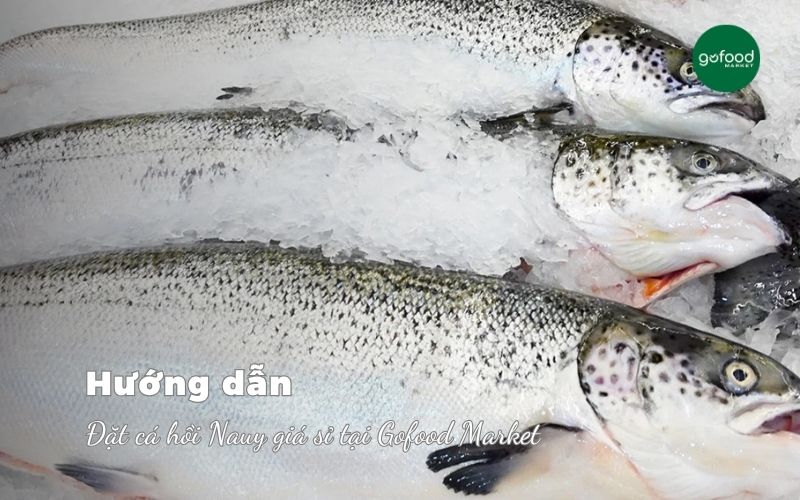 Cá hồi Nauy giá sỉ, chất lượng cao | Gofood Market