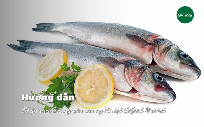 Nhập sỉ cá hồi nguyên con uy tín tại Gofood Market